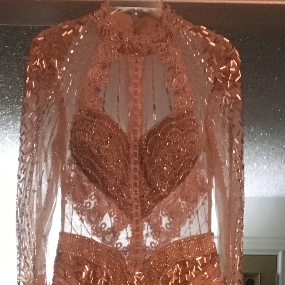 Amazing Terani Couture Gown - Picture 4 of 8